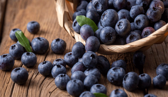 Potential Cognitive and Cardiovascular Benefits of Blueberry Consumption Explored in Latest Study