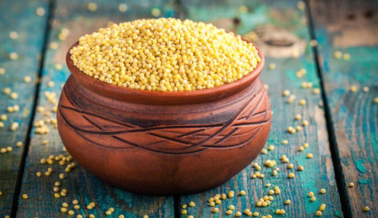 Millets reduce risk of developing diabetes