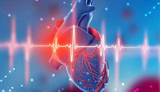 Serum Sestrin is linked to coronary heart disease in patients with type 2 diabetes