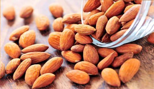 Premeal almond load improves glucose variability and glycemic parameters on CGMS in participants with prediabetes
