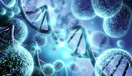 FDA Approves Brenzavvy for People with Type 2 Diabetes