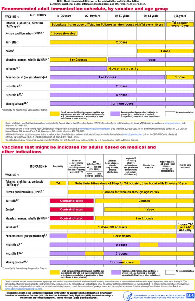 F1.large.jpg (833×1280)
