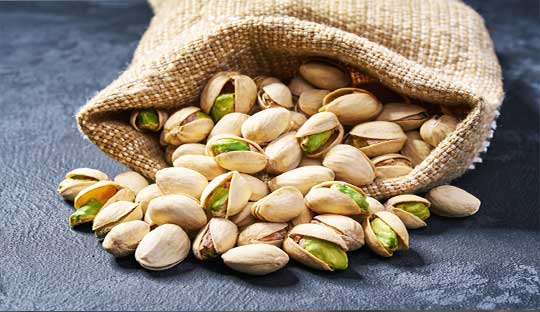 Pistachio supplementation could improve systolic blood pressure, triglyceride, fasting blood glucose, and HDL levels
