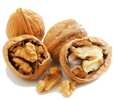 http://www.walnut.net.au/Resources/Pictures/walnuts_image.jpg