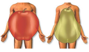 http://gettingstronger.org/wp-content/uploads/2011/11/apple_and_pear_bodies2.jpg