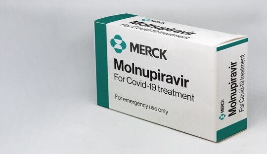 Oral antiviral treatment for COVID-19: Molnupiravir